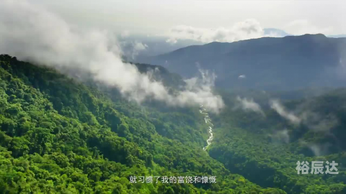 山河网，自然与人类共生的网络