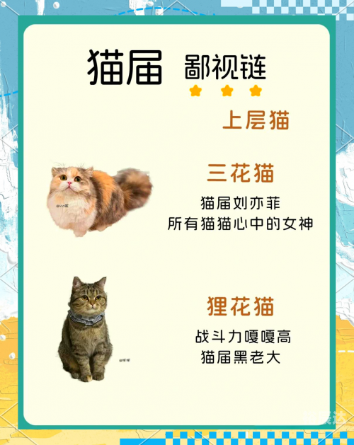 快猫的最近链接KM8KW-第2张图片