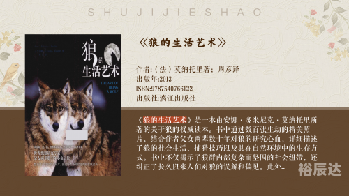 广西狼精英论坛，探索狼性精神的卓越之地-第2张图片