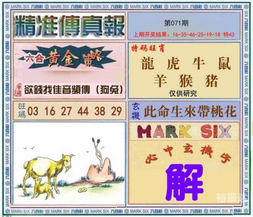 管家婆正版管家2025管家婆正版管家，智能管理新选择
