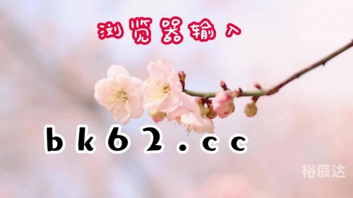 百家乐网络百家乐网络，风险与机遇并存-第2张图片
