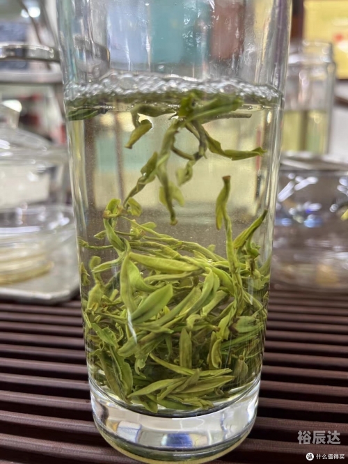 中茶茗品，品味中华茶文化