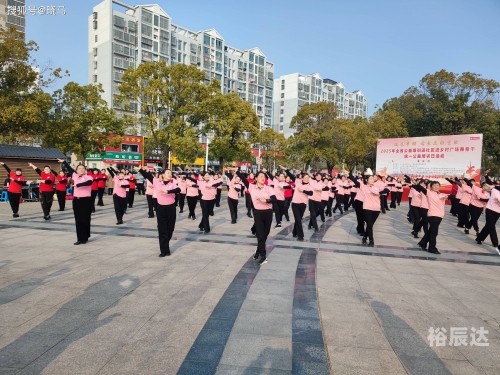 最新广场舞2025最火完整版最新广场舞2013，活力四溢的舞蹈盛宴