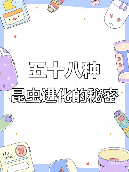 进化与演进的探索
