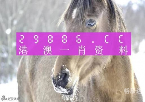 新澳门一码一码，准确无误的承诺