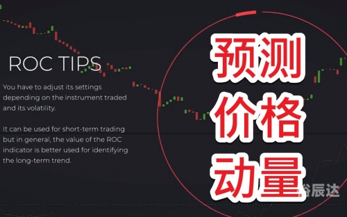 刘伯温三期一肖必开一期刘伯温三期一肖必开一期，预测与策略-第1张图片