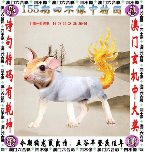 2024新奥历史开奖记录，香港篇