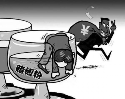 白姐一码精准资料网址白姐公开一码，揭开神秘面纱-第2张图片