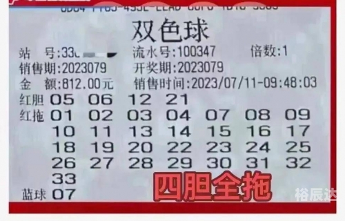 彩友沙龙是正规彩票吗彩友沙龙，艺术与交流的乐园