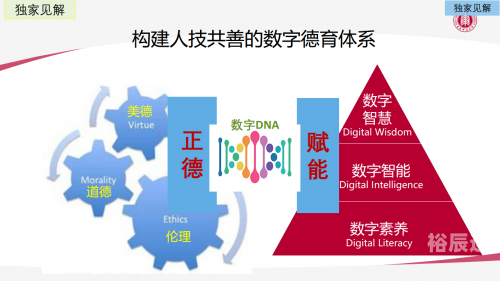 56568com56568com，数字时代的新机遇-第2张图片
