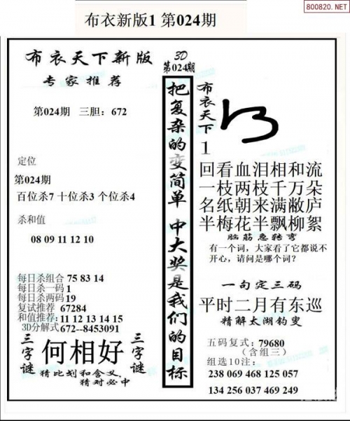 3d画谜专区3D画谜专区，探索神秘的艺术世界-第3张图片