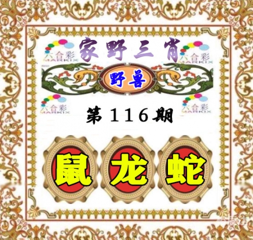四肖三期必开