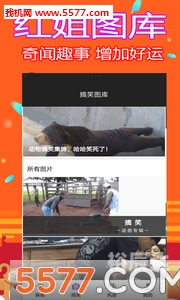 红姐统一主图库红姐统一主图库，引领视觉盛宴的秘密武器