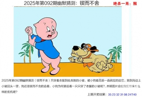 二四六玄机精选大资料