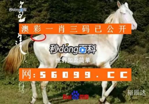 天空彩票与你同行开奖手机报码P天空彩票与你同行，手机报码开奖揭晓-第2张图片