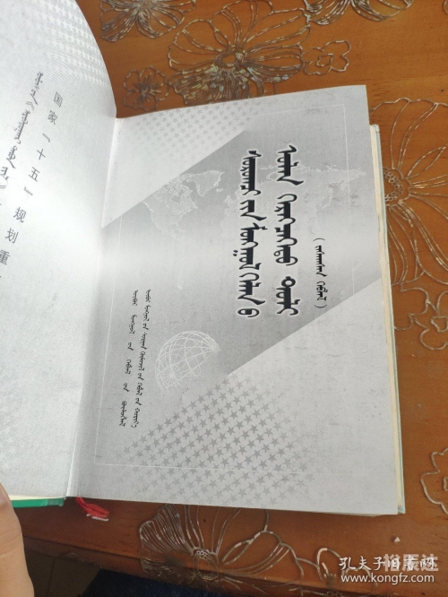 包双龙包双龙，创新与卓越的引领者