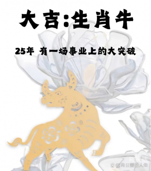 一起牛，共享奋斗与成功的旅程