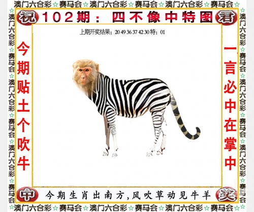 澳门必中一肖一码精准