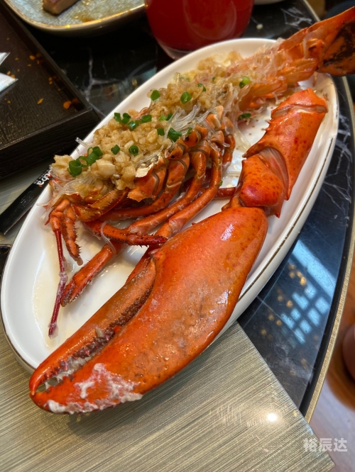 香港52479金香港52479金，璀璨辉煌的投资宝地-第2张图片