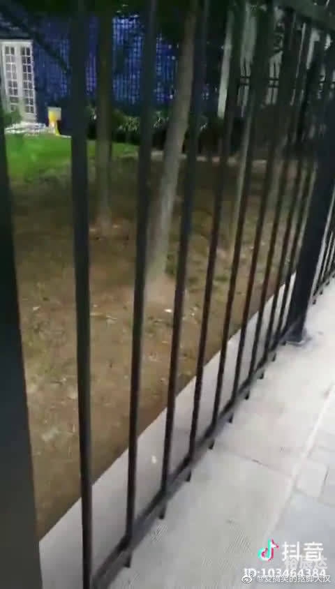 13262 CC马会论坛13262 CC马会论坛，探讨赛事与交流的平台