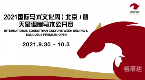 2019正版马会资料大全2019正版马会资料大全-第3张图片