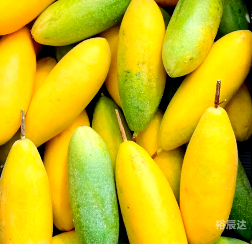 海南香蕉网报价海南香蕉网，探索热带水果的魅力