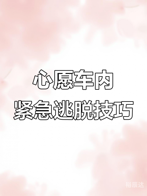 车内逃脱-第2张图片