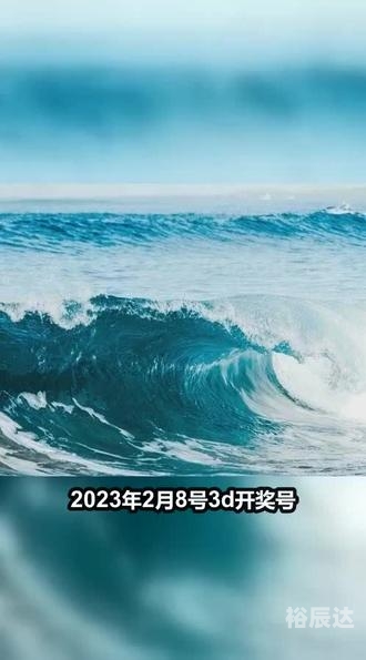 2024年新奥门王中王开奖结果2024年新奥门王中王开奖结果揭晓-第3张图片