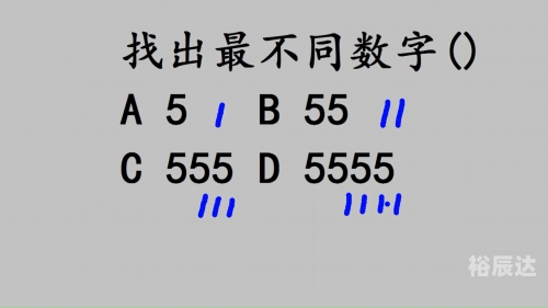 5555.com，探索无限可能-第1张图片