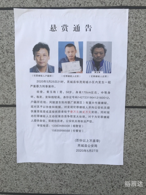 现场报码现场报码，高效信息传递的现代工具-第2张图片