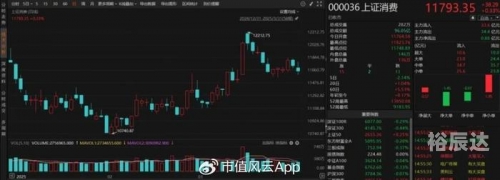 多塔界百度百科多塔风云，科技浪潮下的崛起与挑战