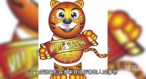 最新老虎地图数据包