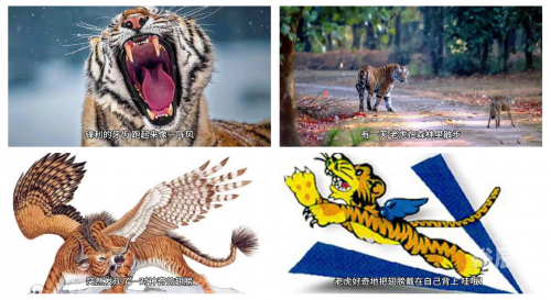 最新老虎地图数据包-第3张图片