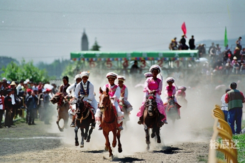 赛马彩票( 8号)赛马彩票，探索彩票新世界