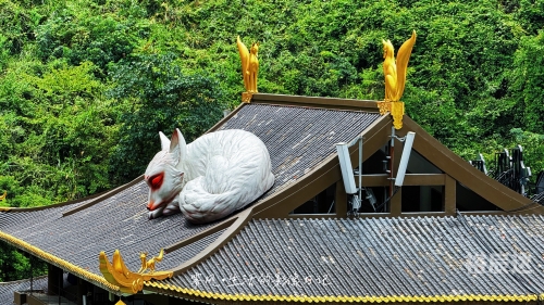 天门狐仙