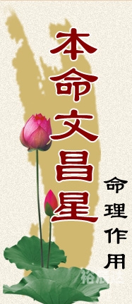 华人开运网官方网站华人开运网，开启幸运之门的神秘平台