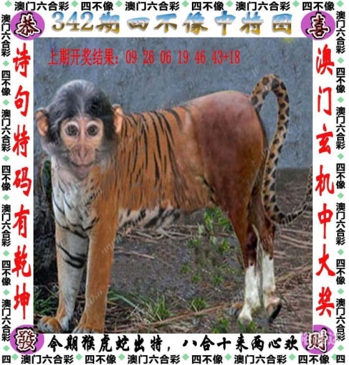 新澳正版资料与内部资料新澳正版资料与内部资料概述-第2张图片