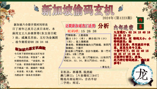 红姐图库总站，探索数字时代的视觉盛宴