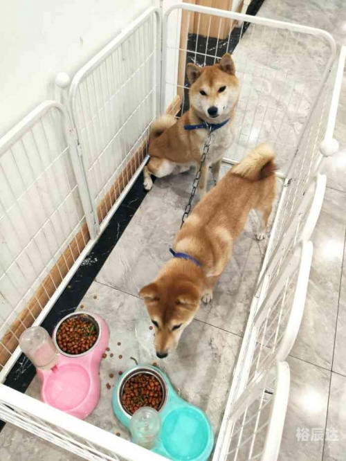 凯旋门网站下载凯旋门娱乐，寻找最佳娱乐体验的在线平台