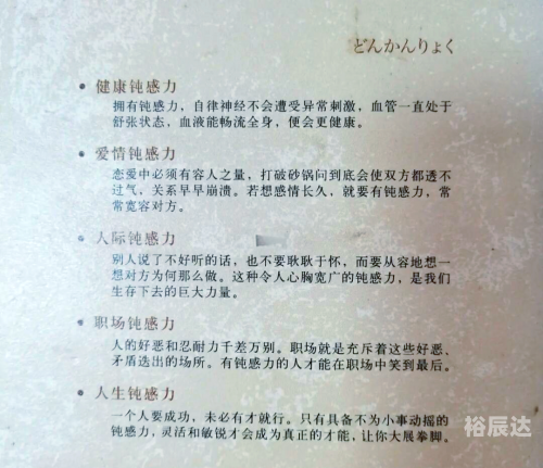 打破沙锅璺到底打破沙锅璺到底，探索未知的勇气与智慧