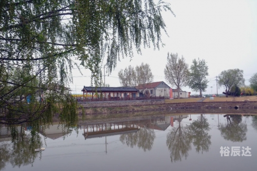 乡村欲爱，免费阅读的诗意田园