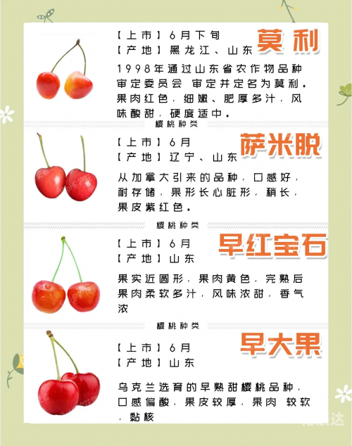 樱桃APP最新版下载方法樱桃APP最新版下载方法