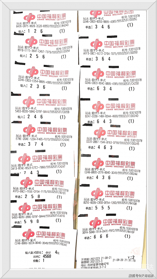 排列三专业带连线专业版，探索彩票新天地