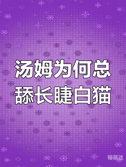 白猫图纸白猫图纸，探索设计与技术的奥秘-第2张图片