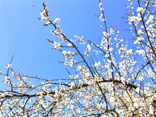 香淃六香彩开奖结果记录香港码开奖结果揭晓-第2张图片