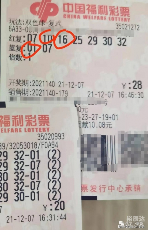 澳门今晚开奖结果展望2024