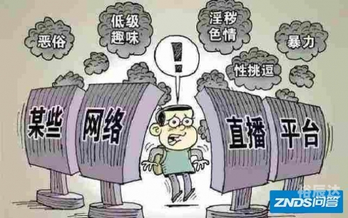一五一十网一五一十网，网络生活的新篇章
