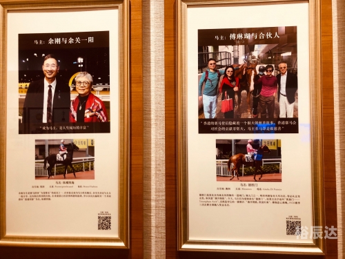 香港马会内部免费资料香港马会内部免费资料，探索内部资源的无限可能