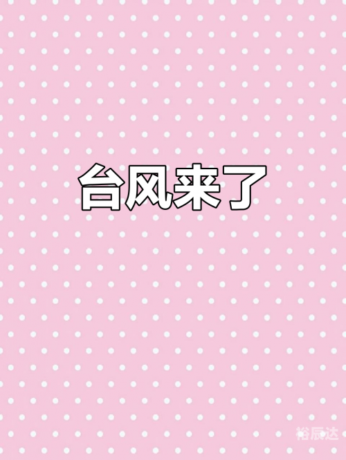 上海台风刚刚最新通知上海遭遇台风，风雨中的城市之旅-第1张图片