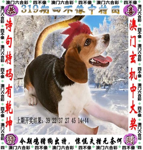 白小姐三肖期期准期期分析